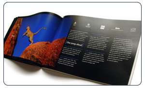 Page Layout